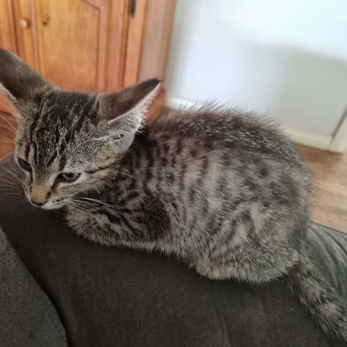 No photo for Sinclair