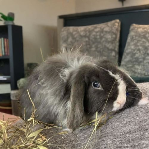 No photo for Richelle