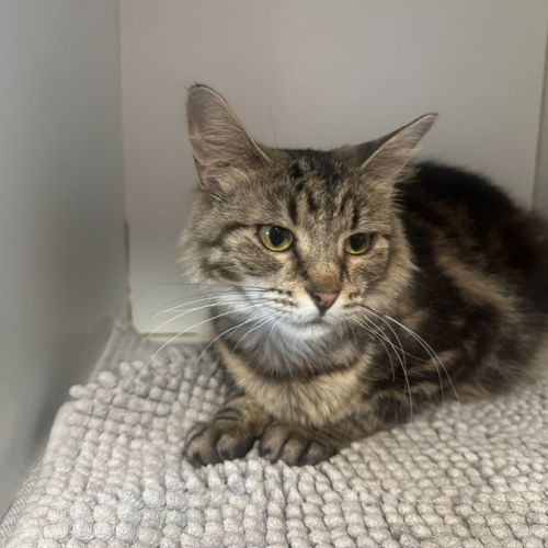 No photo for Doja Cat