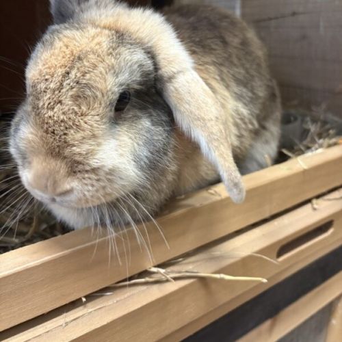 No photo for Matilda