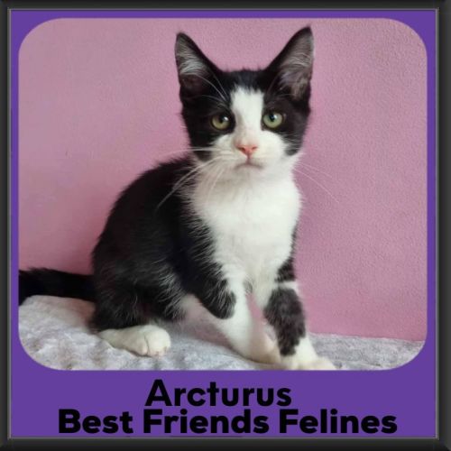 No photo for Arcturus