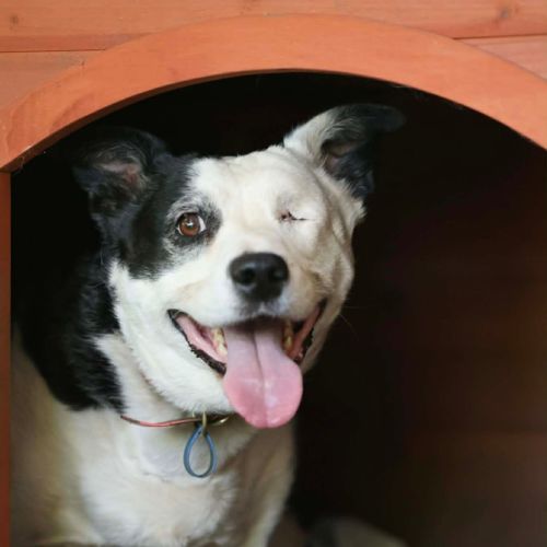 No photo for Flossie