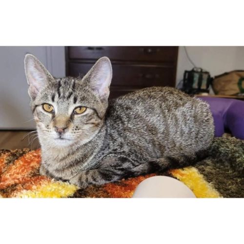 No photo for 13085   Sashley