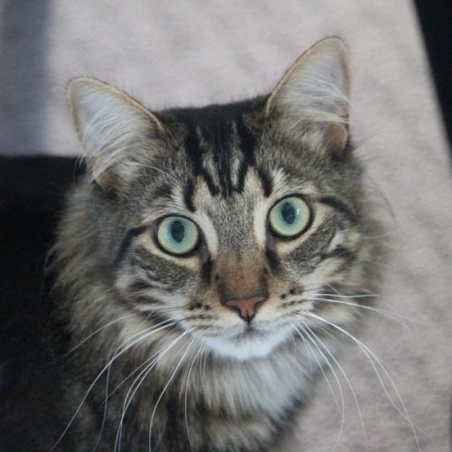 No photo for ✨ Coco & Nemo ✨