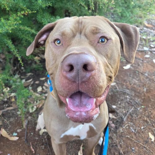 No photo for Ferdinand