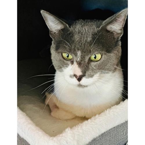 No photo for 13540   Frankie