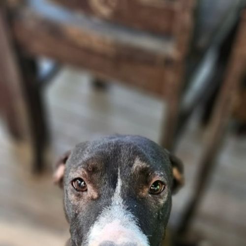 No photo for Khloe (B2)