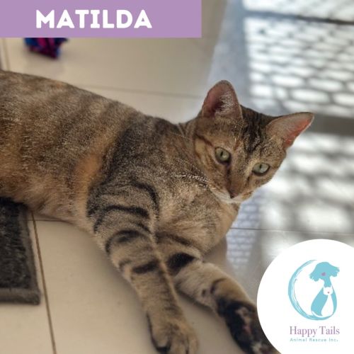 No photo for Matilda