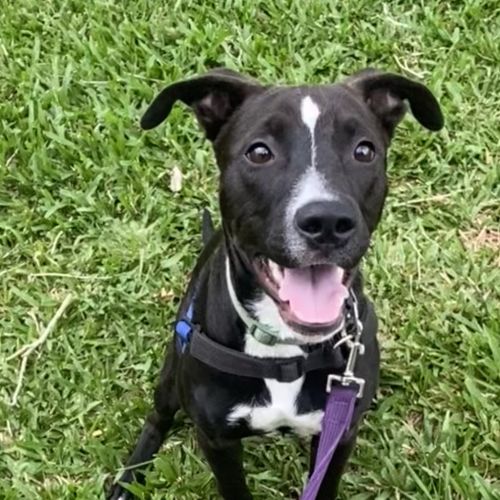 No photo for Gilbert