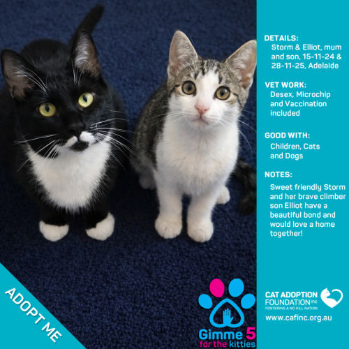 Elliot and Storm Mum and Bubs 2 for 1