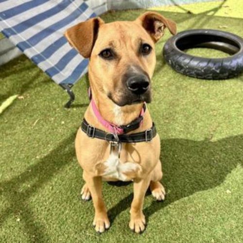 No photo for Harriet 