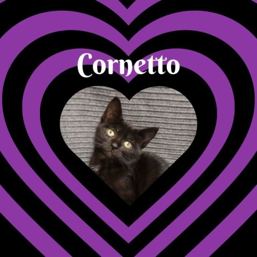 Cornetto