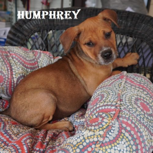 Humphrey