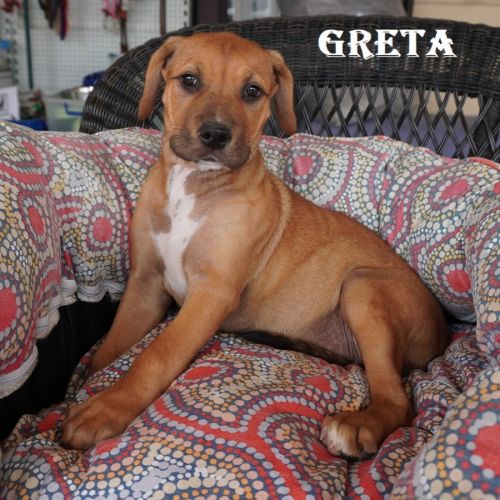 Greta