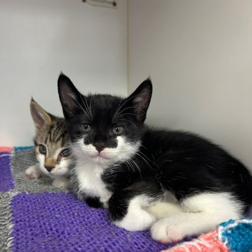 No photo for Kevin And Dennis