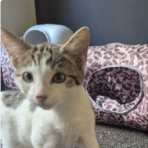 No photo for Ocean Meet Me@Petstock Carrum Downs 