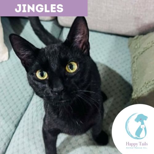 No photo for Jingles