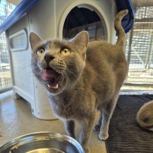 No photo for Bella! 🎀