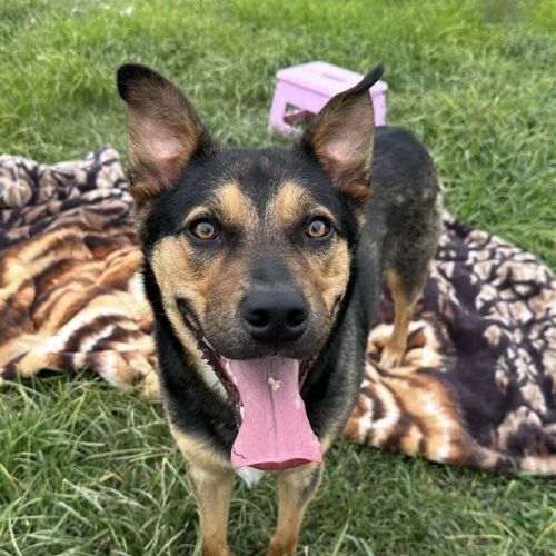 No photo for Jessica