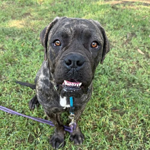 No photo for Sashimi