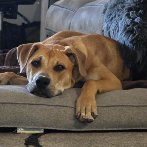 No photo for Albert (Hammer)