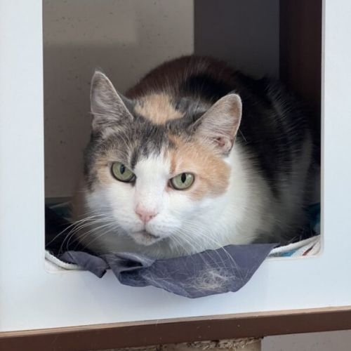 No photo for Jacinta