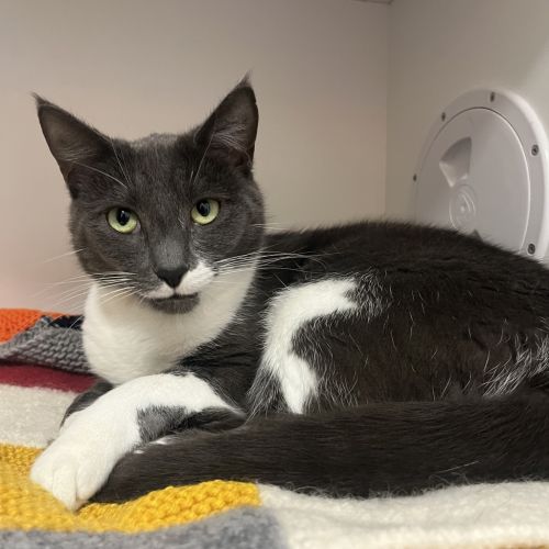 No photo for Victoria