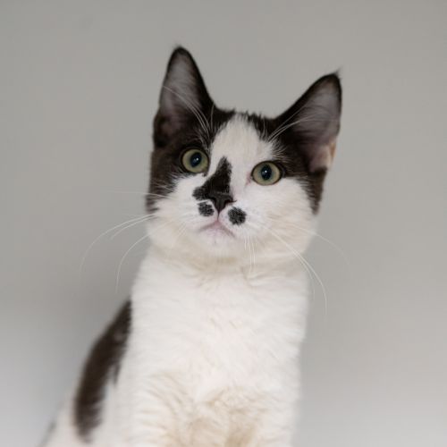 No photo for Natasha