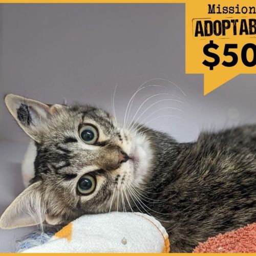 Empress Wrecking Ball