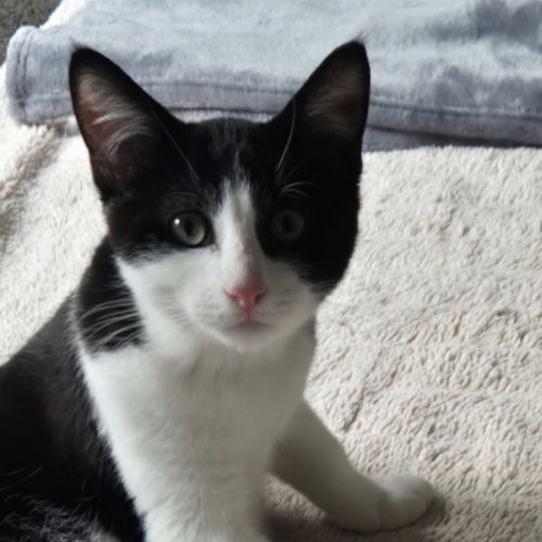 Winter meet me@Petstock Mornington Nepean Hwy 