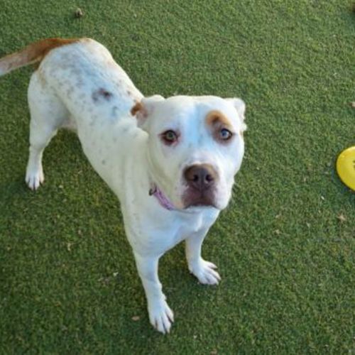 No photo for Bettina