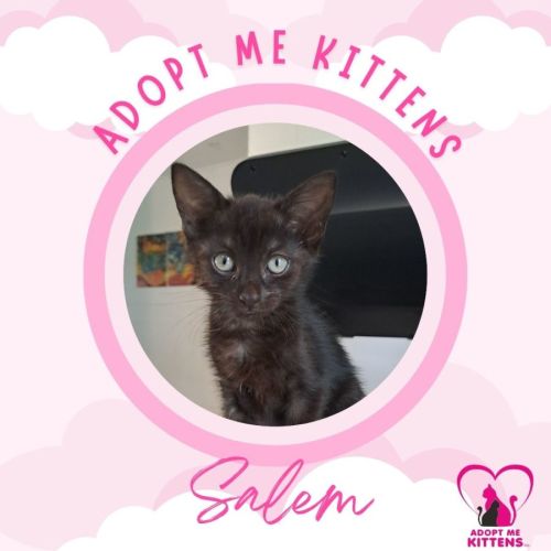 Salem