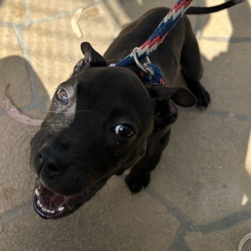 No photo for Sacramento