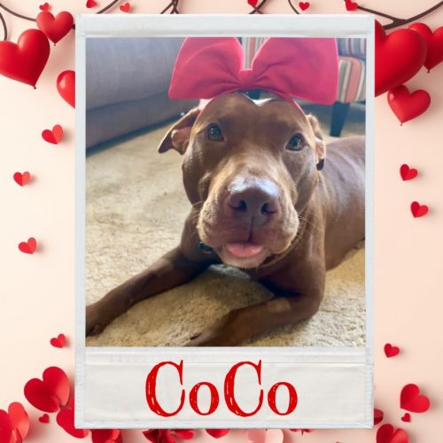 CoCo
