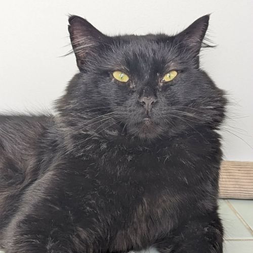 No photo for Big Boy