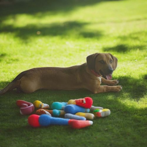 No photo for Griffith