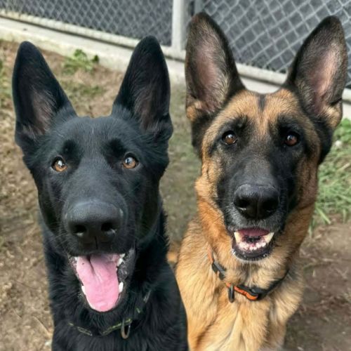 No photo for Katie And Xaden