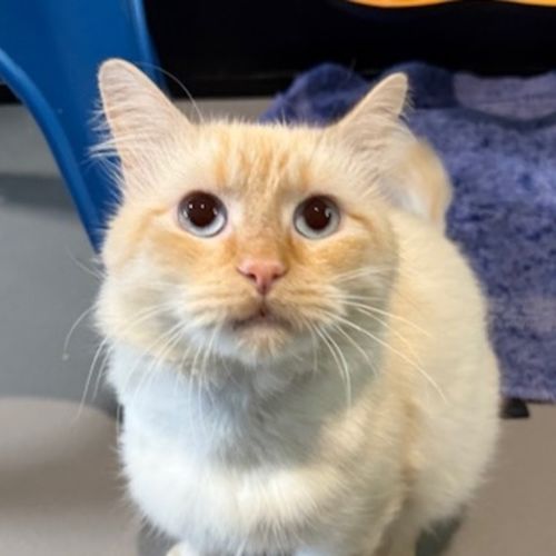 No photo for Sebastian