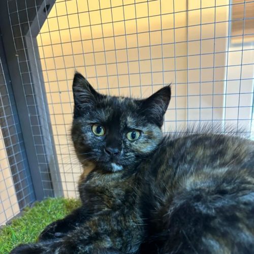 No photo for Atlanta