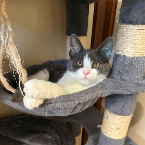 No photo for Stirling