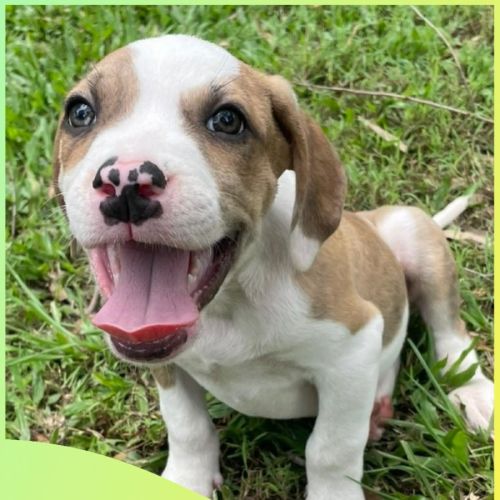 No photo for Nebraska