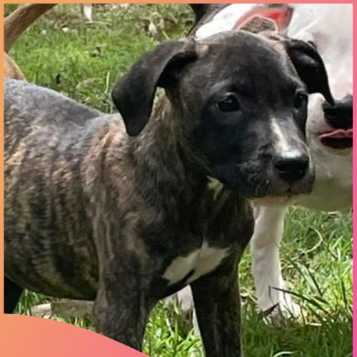 No photo for Charlotte 