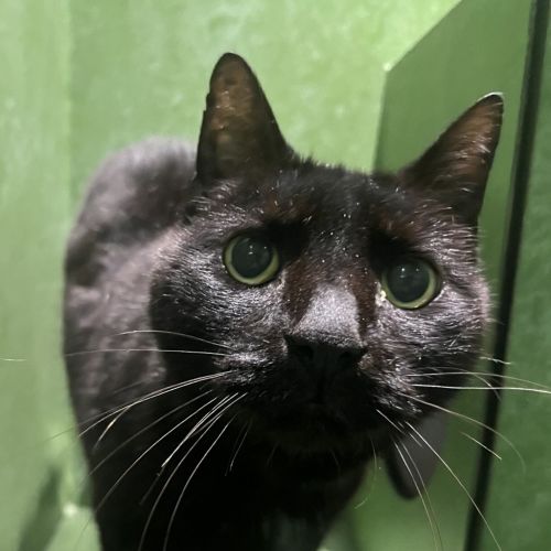 No photo for Condensation