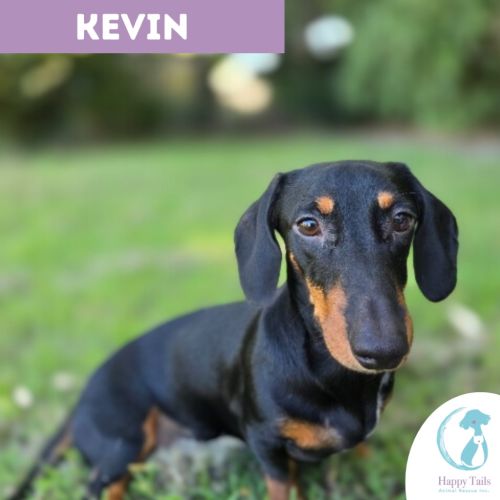 No photo for Kevin