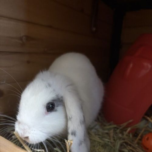 No photo for Finnick