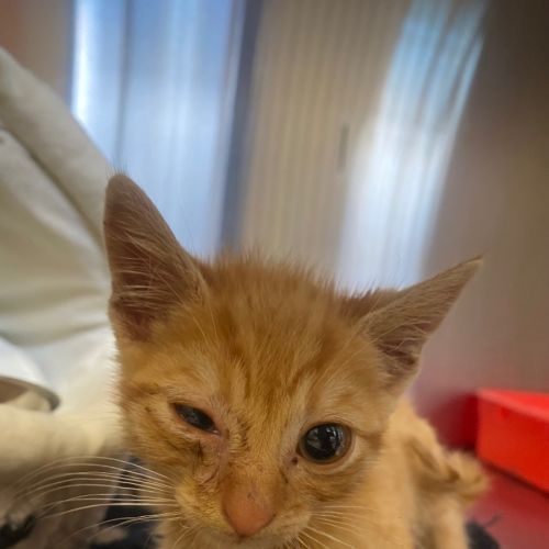 No photo for Burger And Soda Pop