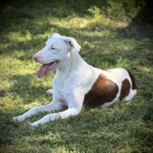 No photo for Kairo, Keda & Kash