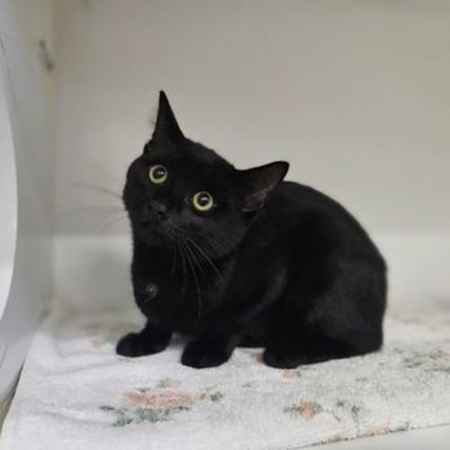 No photo for Jiji