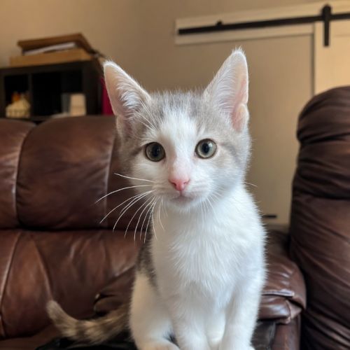 No photo for Harmony