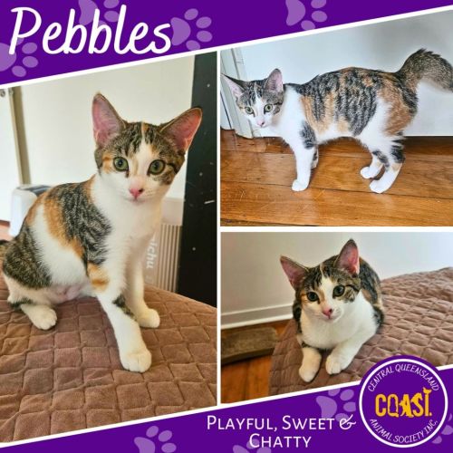 Pebbles